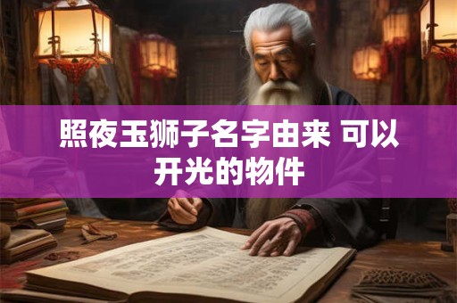 照夜玉狮子名字由来 可以开光的物件