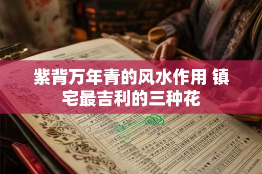 详细阅读:紫背万年青的风水作用 镇宅最吉利的三种花 紫背万年青的风水作用 镇宅最吉利的三种花