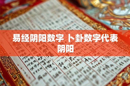 易经阴阳数字 卜卦数字代表阴阳