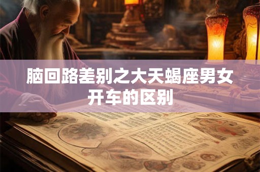 脑回路差别之大天蝎座男女开车的区别