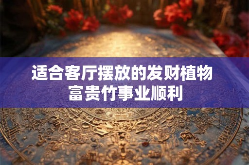适合客厅摆放的发财植物 富贵竹事业顺利