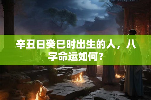 辛丑日癸巳时出生的人，八字命运如何？