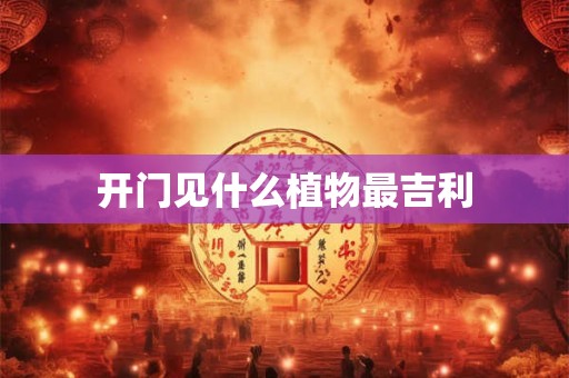 开门见什么植物最吉利