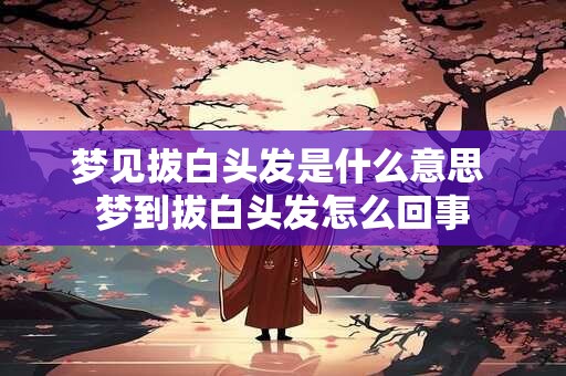 梦见拔白头发是什么意思 梦到拔白头发怎么回事