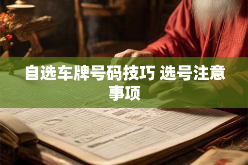自选车牌号码技巧 选号注意事项