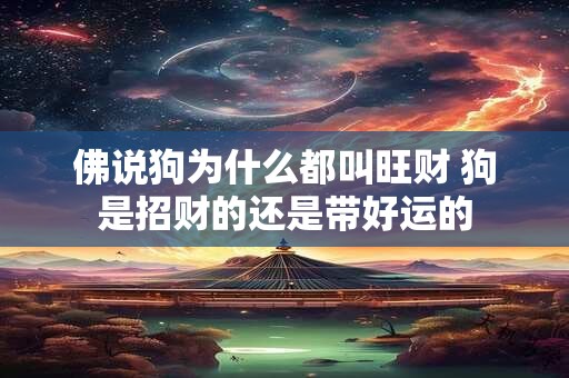 佛说狗为什么都叫旺财 狗是招财的还是带好运的