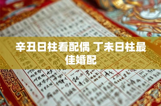 辛丑日柱看配偶 丁未日柱最佳婚配