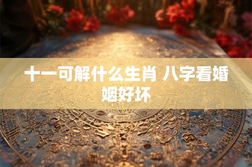 十一可解什么生肖 八字看婚姻好坏