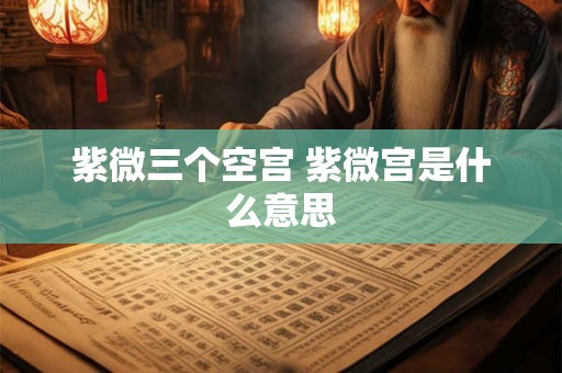 紫微三个空宫 紫微宫是什么意思