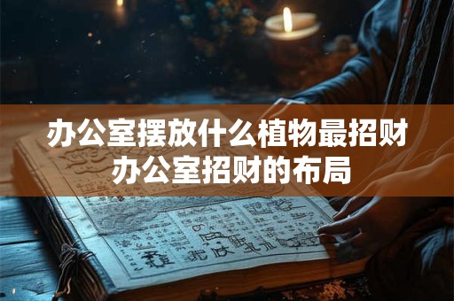 办公室摆放什么植物最招财 办公室招财的布局