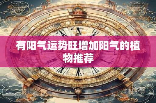 有阳气运势旺增加阳气的植物推荐