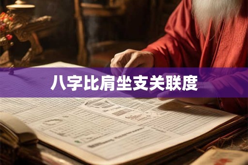 八字比肩坐支关联度