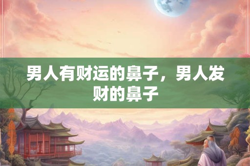 男人有财运的鼻子，男人发财的鼻子