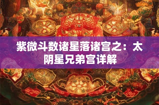紫微斗数诸星落诸宫之：太阴星兄弟宫详解