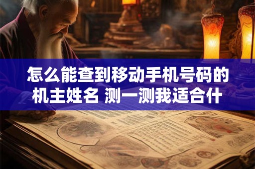 怎么能查到移动手机号码的机主姓名 测一测我适合什么工作