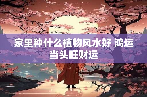 家里种什么植物风水好 鸿运当头旺财运