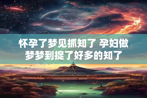 怀孕了梦见抓知了 孕妇做梦梦到捉了好多的知了
