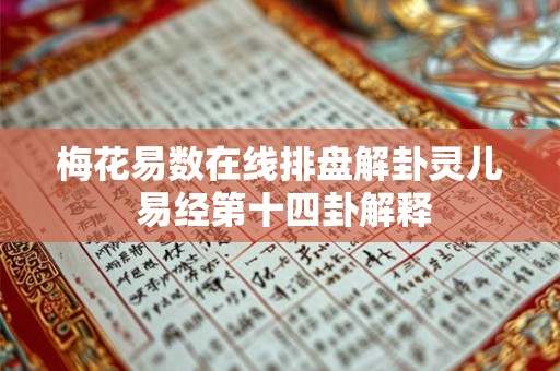 梅花易数在线排盘解卦灵儿 易经第十四卦解释