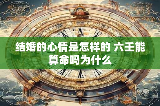 猫石对话之2025年十一月小喵喵运势