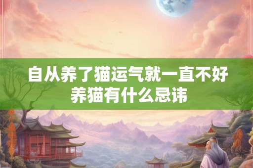 自从养了猫运气就一直不好 养猫有什么忌讳