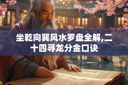坐乾向巽风水罗盘全解,二十四寻龙分金口诀