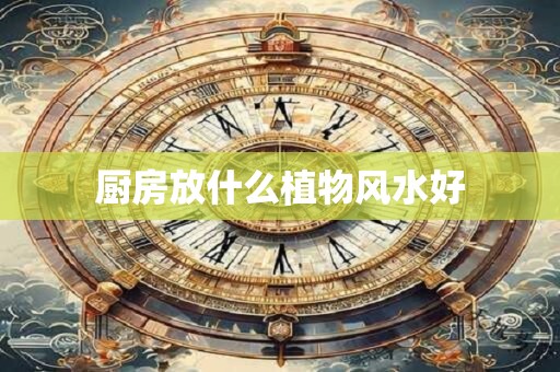 厨房放什么植物风水好