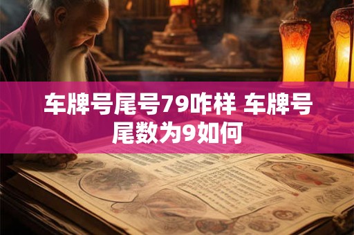 车牌号尾号79咋样 车牌号尾数为9如何
