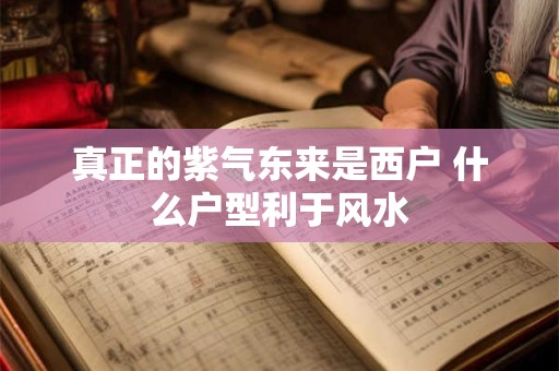 真正的紫气东来是西户 什么户型利于风水