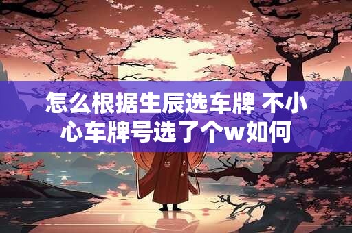 怎么根据生辰选车牌 不小心车牌号选了个w如何