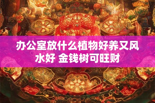办公室放什么植物好养又风水好 金钱树可旺财 办公室放什么植物好养又风水好 金钱树可旺财