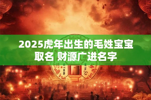2025虎年出生的毛姓宝宝取名 财源广进名字