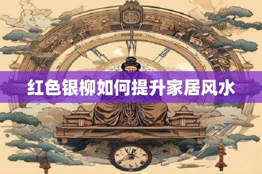 红色银柳如何提升家居风水