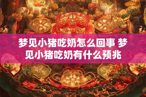 梦见小猪吃奶怎么回事 梦见小猪吃奶有什么预兆