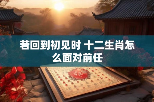 若回到初见时 十二生肖怎么面对前任