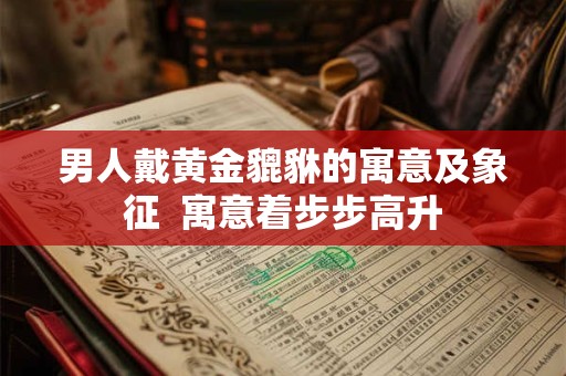 男人戴黄金貔貅的寓意及象征  寓意着步步高升