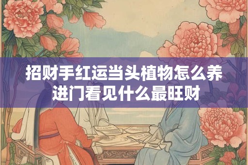 招财手红运当头植物怎么养 进门看见什么最旺财