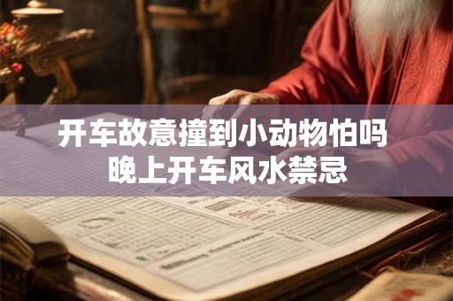开车故意撞到小动物怕吗 晚上开车风水禁忌