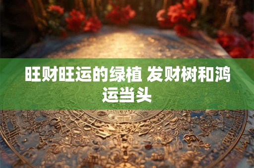 旺财旺运的绿植 发财树和鸿运当头