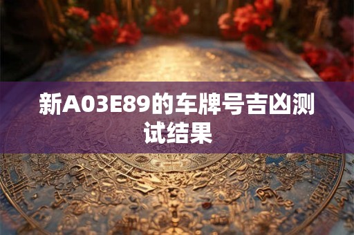 新A03E89的车牌号吉凶测试结果