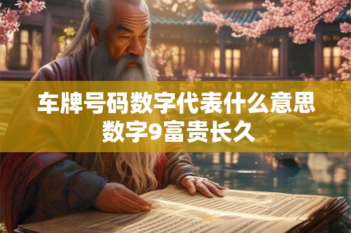 车牌号码数字代表什么意思 数字9富贵长久