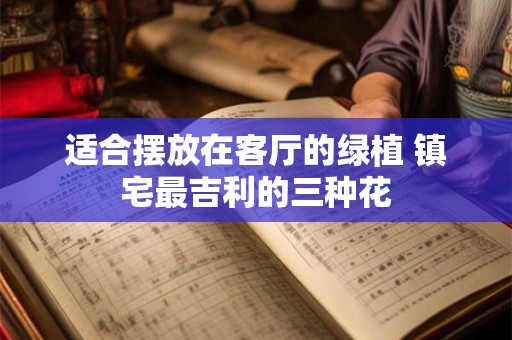 适合摆放在客厅的绿植 镇宅最吉利的三种花
