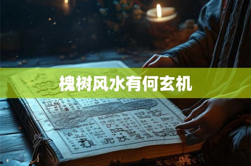 提新车时的吉祥词 提新车吉语