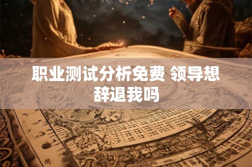 职业测试分析免费 领导想辞退我吗