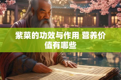 紫菜的功效与作用 营养价值有哪些