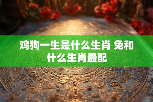 鸡狗一生是什么生肖 兔和什么生肖最配