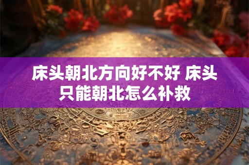 静电鱼 狮子座周运12月19-25日