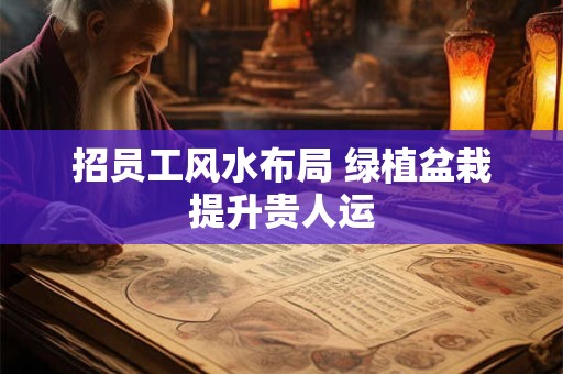 招员工风水布局 绿植盆栽提升贵人运