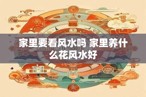 家里要看风水吗 家里养什么花风水好