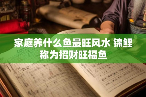 家庭养什么鱼最旺风水 锦鲤称为招财旺福鱼