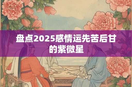 盘点2025感情运先苦后甘的紫微星